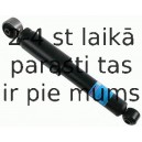 Amortizators SACHS 313 482