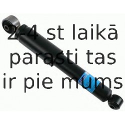 Amortizators SACHS 313 482