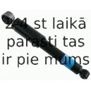 Amortizators SACHS 313 484