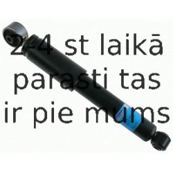 Amortizators SACHS 313 484