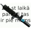 Amortizators SACHS 313 503