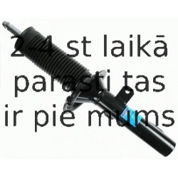 Amortizators SACHS 313 503