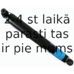 Amortizators SACHS 313 508