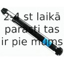 Amortizators SACHS 313 519