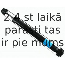 Amortizators SACHS 313 519