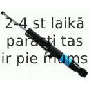 Amortizators SACHS 313 523