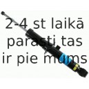 Amortizators SACHS 313 524