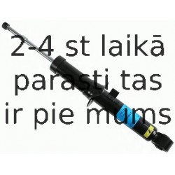 Amortizators SACHS 313 524