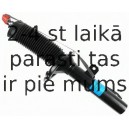 Amortizators SACHS 313 545