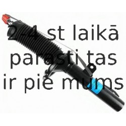 Amortizators SACHS 313 545