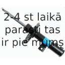 Amortizators SACHS 313 549