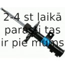 Amortizators SACHS 313 550