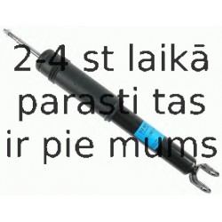 Amortizators SACHS 313 551