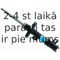 Amortizators SACHS 313 554