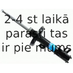 Amortizators SACHS 313 568