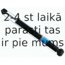 Amortizators SACHS 313 571