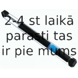 Amortizators SACHS 313 571