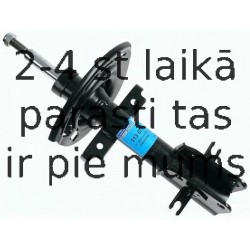 Amortizators SACHS 313 577