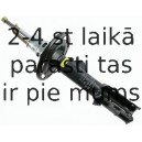 Amortizators SACHS 313 586