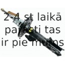 Amortizators SACHS 313 587