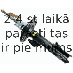 Amortizators SACHS 313 587