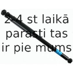 Amortizators SACHS 313 595