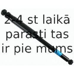 Amortizators SACHS 313 596