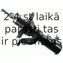 Amortizators SACHS 313 602