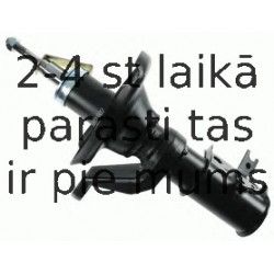 Amortizators SACHS 313 602