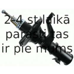 Amortizators SACHS 313 603