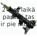 Amortizators SACHS 313 605