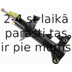 Amortizators SACHS 313 606