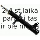 Amortizators SACHS 313 626