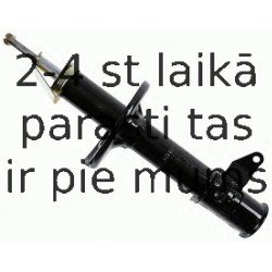 Amortizators SACHS 313 626