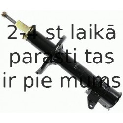 Amortizators SACHS 313 627