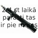 Amortizators SACHS 313 632