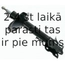 Amortizators SACHS 313 633