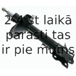 Amortizators SACHS 313 633