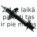 Amortizators SACHS 313 635