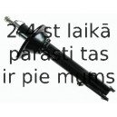 Amortizators SACHS 313 706