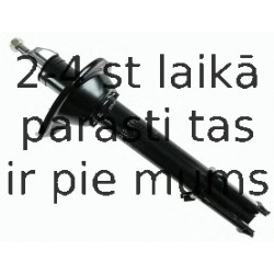 Amortizators SACHS 313 706