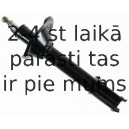 Amortizators SACHS 313 707