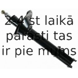 Amortizators SACHS 313 707