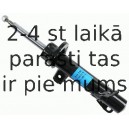 Amortizators SACHS 313 739