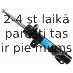 Amortizators SACHS 313 739