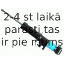 Amortizators SACHS 313 741