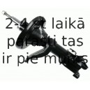 Amortizators SACHS 313 767