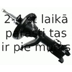 Amortizators SACHS 313 767