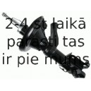 Amortizators SACHS 313 768