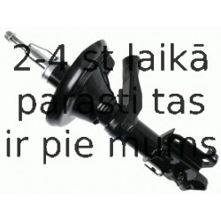 Amortizators SACHS 313 768